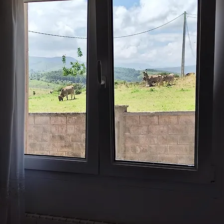 Fuente El Hayedo Kro