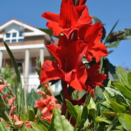 Fuente El Hayedo * San Vicente De La Barquera