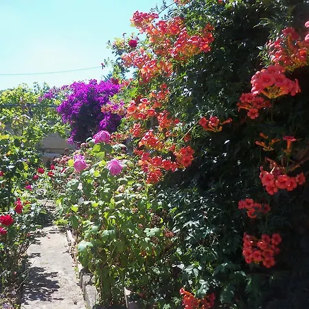 Мини-отель Fuente El Hayedo *