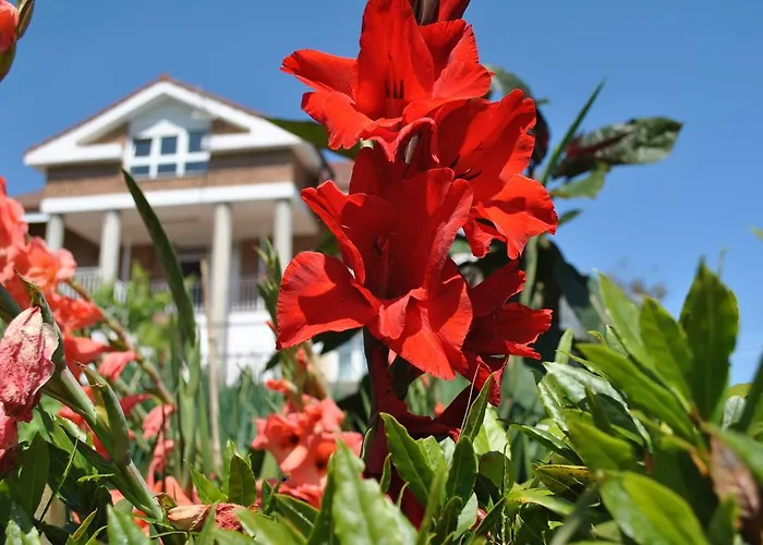 Fuente El Hayedo * San Vicente De La Barquera