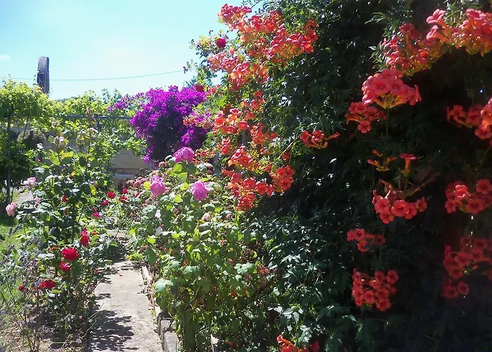 Inn Fuente El Hayedo *